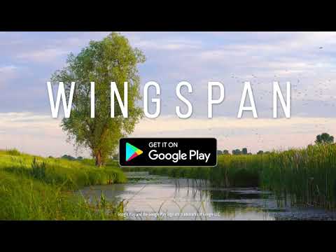 Wingspan: The Board Game